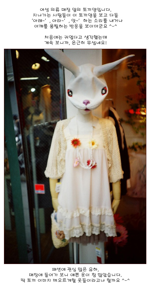 [�Ϻ���] �ʰ��� �� �䳢��